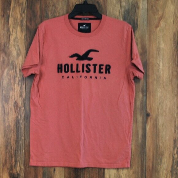 Hollister Other - Hollister Men's Pink Navy Graphic Logo Tee Tshirt L